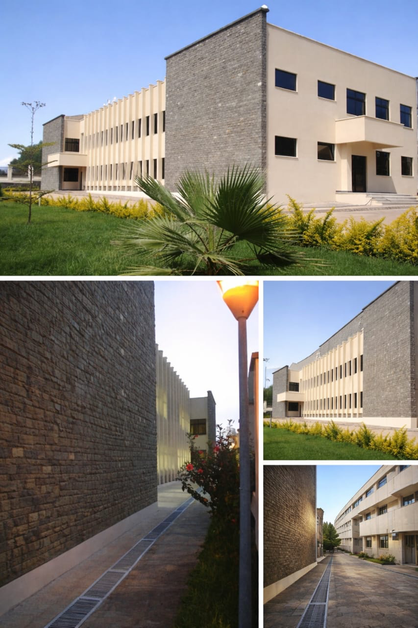 Commercial & Institutional Building